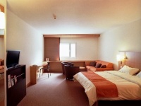 Hotel Ibis Praha Old Town preiswert / Prag Buchung