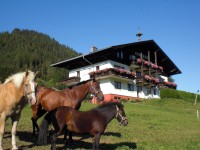 Gästehaus Huberhof Gästehaus Huberhof