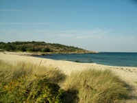 Sandvig Sandvig