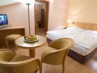 Hotel Frymburk preiswert / Friedberg Buchung