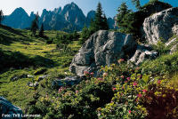 Abtenau (Dachstein-West)