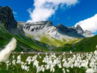 Laax
