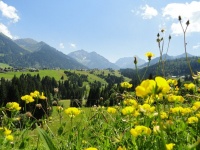 Oberstdorf Kleinwalsertal Oberstdorf Kleinwalsertal