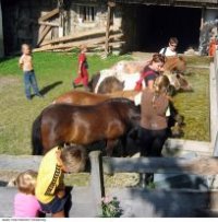 Gästehaus Huberhof preiswert / Schladming Buchung
