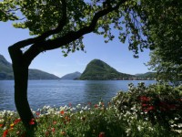 Lugano Lugano