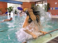 Ahorn Seehotel Templin billig / Templin (Uckermark) Deutschland verf&uuml;gbar