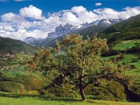Hafling (Meraner Land) Hafling (Meraner Land)