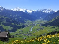 Hippach (Zillertal)