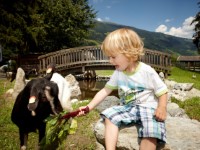 Familienhotel Grundlhof frei / Neukirchen am Großvenediger Österreich Skipass