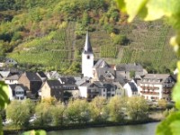 Mosel Mosel