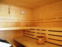 Hotel Grundmühle frei / Bad Schandau (Sächsische Schweiz) Deutschland Skipass