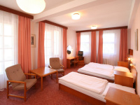 Hotel Mánes preiswert / Karlsbad Buchung